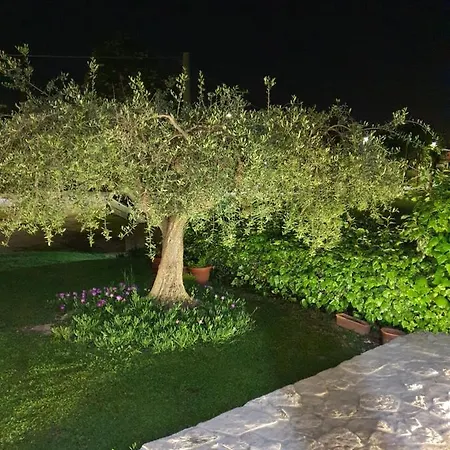 Casa Rosa Holiday park