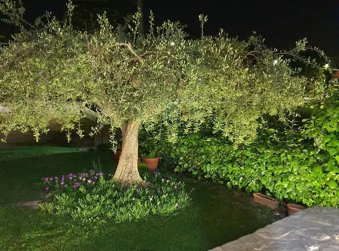 Casa Rosa منتزه العطل